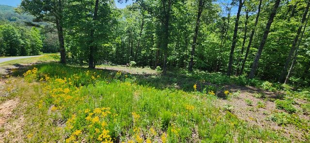 LT 90 Barrell Knot Court, Ellijay, GA 30536