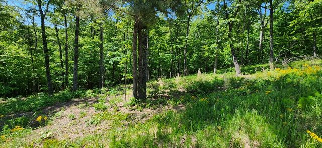 LT 90 Barrell Knot Court, Ellijay, GA 30536
