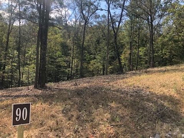 LT 90 Barrell Knot Court, Ellijay, GA 30536
