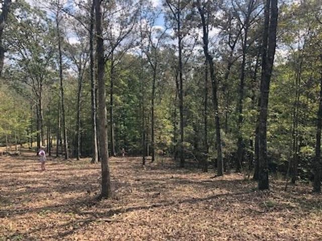 LT 90 Barrell Knot Court, Ellijay, GA 30536