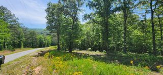 LT 90 Barrell Knot Court, Ellijay, GA 30536