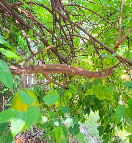 621 S 24th Ave, Hollywood, FL 33020