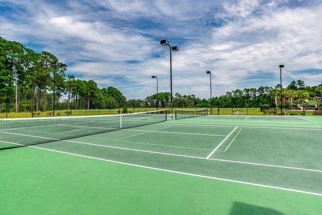 1009 Gallinule Dr., Conway, SC 29526