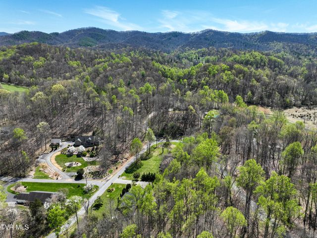 1320 Suntree Road, Unicoi, TN 37692