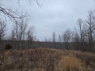 0 OverLook Trl, Stewart, TN 37175