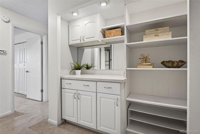 1233 N Ogden Street 503, Denver, CO 80218