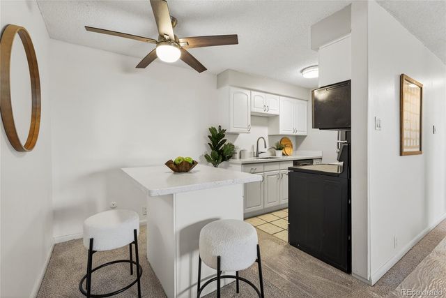 1233 N Ogden Street 503, Denver, CO 80218