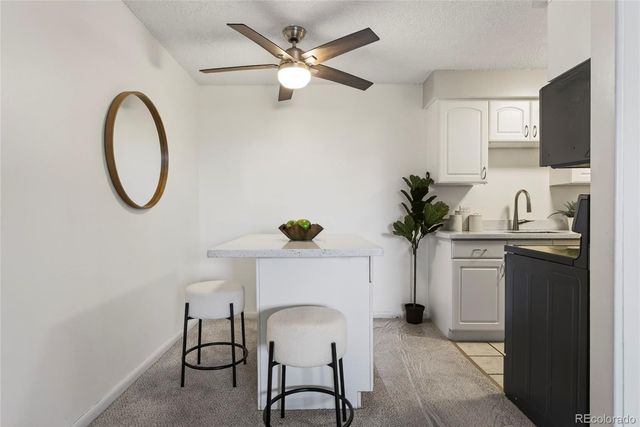 1233 N Ogden Street 503, Denver, CO 80218