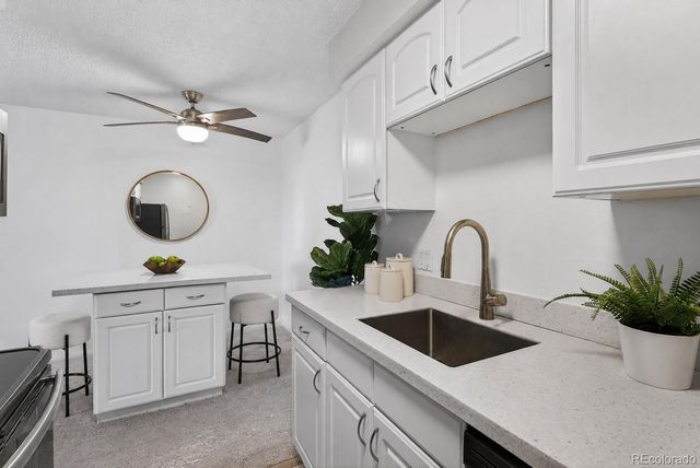 1233 N Ogden Street 503, Denver, CO 80218