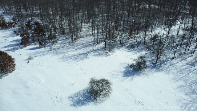 3008 E Upper Field Trail, Newaygo, MI 49337