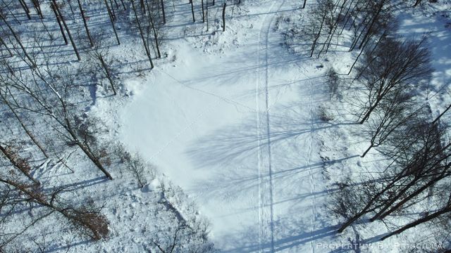 3008 E Upper Field Trail, Newaygo, MI 49337