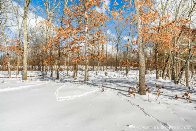3008 E Upper Field Trail, Newaygo, MI 49337