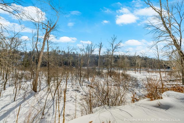 3008 E Upper Field Trail, Newaygo, MI 49337