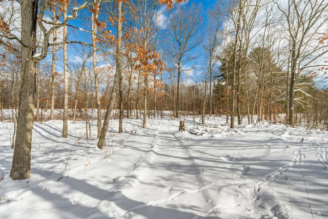 3008 E Upper Field Trail, Newaygo, MI 49337
