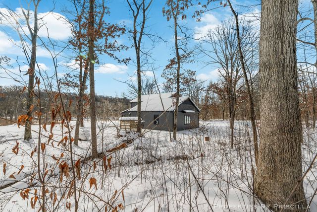 3008 E Upper Field Trail, Newaygo, MI 49337