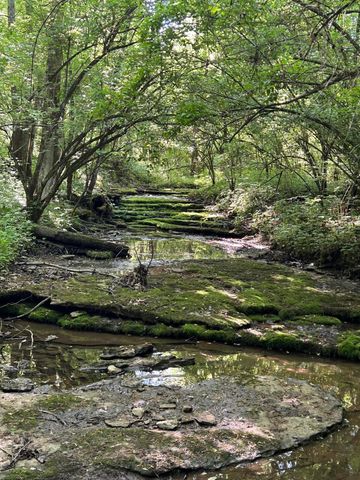 2308 Evans Mill Road, Lexington, KY 40515