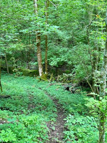 2308 Evans Mill Road, Lexington, KY 40515