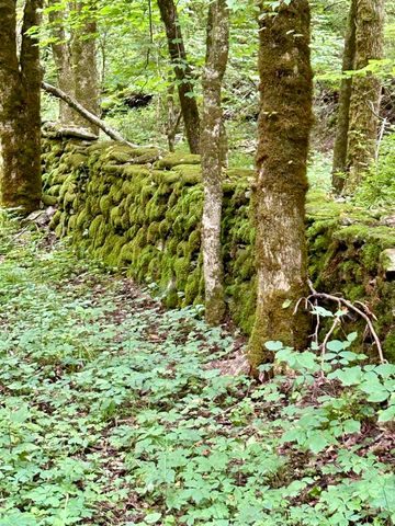 2308 Evans Mill Road, Lexington, KY 40515