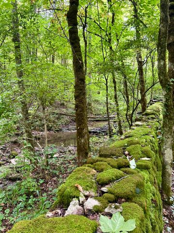 2308 Evans Mill Road, Lexington, KY 40515