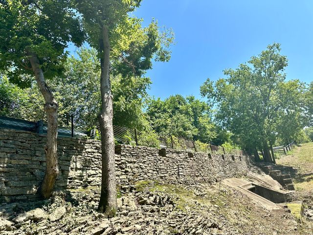 2308 Evans Mill Road, Lexington, KY 40515