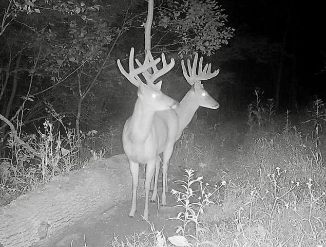 2308 Evans Mill Road, Lexington, KY 40515