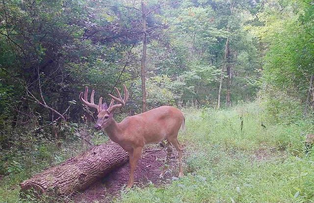 2308 Evans Mill Road, Lexington, KY 40515