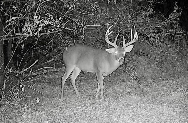 2308 Evans Mill Road, Lexington, KY 40515