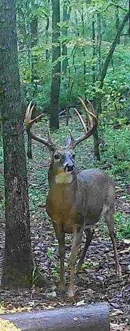 2308 Evans Mill Road, Lexington, KY 40515