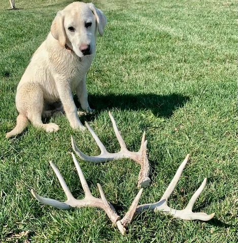 2308 Evans Mill Road, Lexington, KY 40515