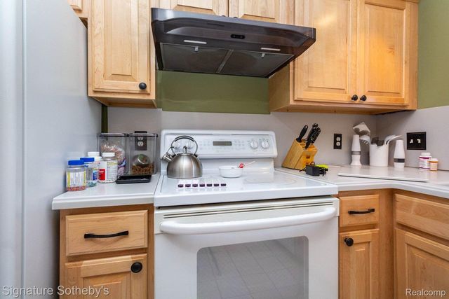 424 Oak Run Court 11, Royal Oak, MI 48073