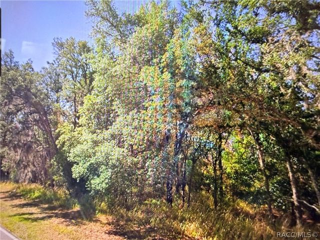 2722 W Pine Ridge Boulevard, Beverly Hills, FL 34465