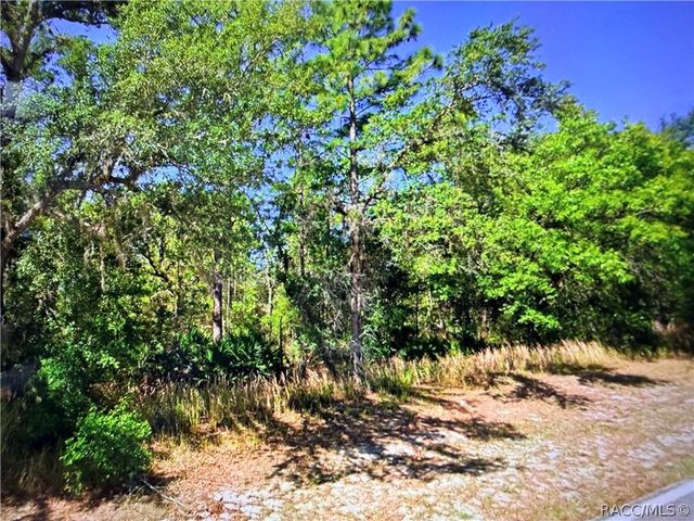 2722 W Pine Ridge Boulevard, Beverly Hills, FL 34465