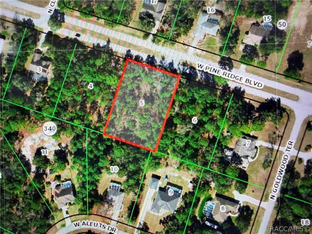 2722 W Pine Ridge Boulevard, Beverly Hills, FL 34465