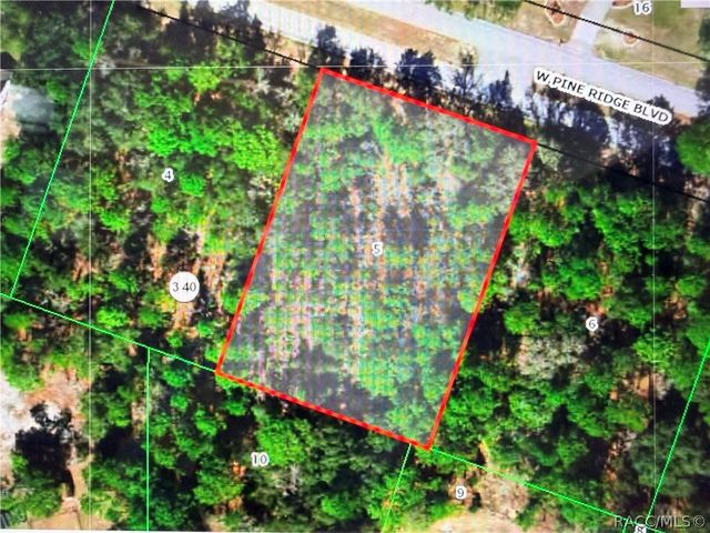 2722 W Pine Ridge Boulevard, Beverly Hills, FL 34465