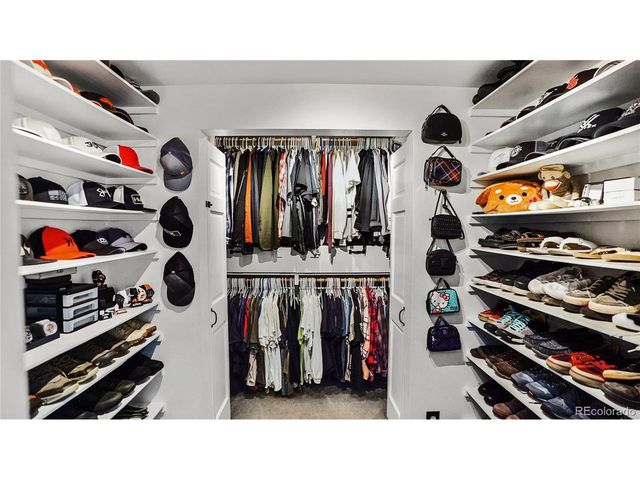 16536 Ouray Rd W, Pine, CO 80470