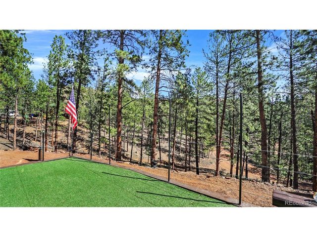 16536 Ouray Rd W, Pine, CO 80470