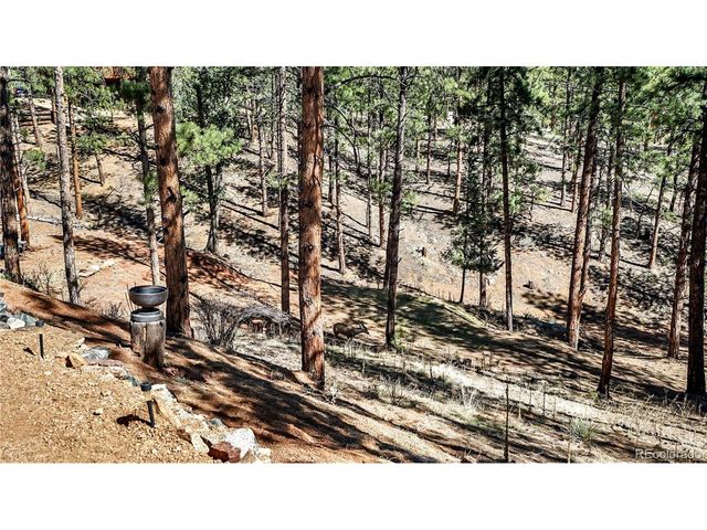 16536 Ouray Rd W, Pine, CO 80470