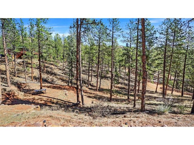 16536 Ouray Rd W, Pine, CO 80470