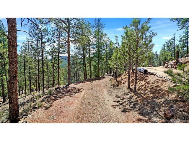 16536 Ouray Rd W, Pine, CO 80470