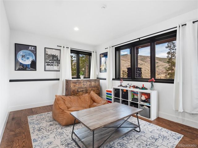 1799 Falcon Drive, Silverthorne, CO 80498