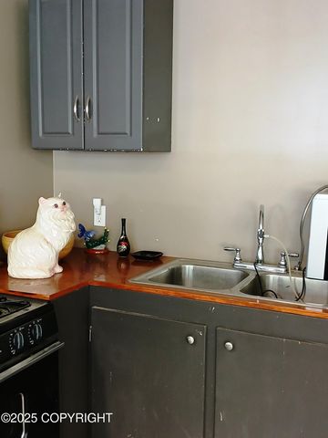 435 Cozy Cove Drive, Homer, AK 99603