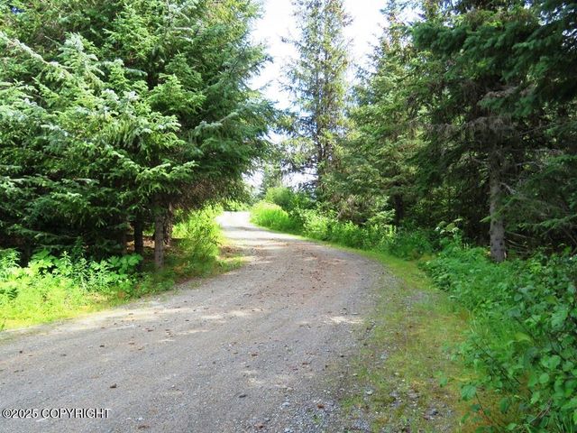 435 Cozy Cove Drive, Homer, AK 99603