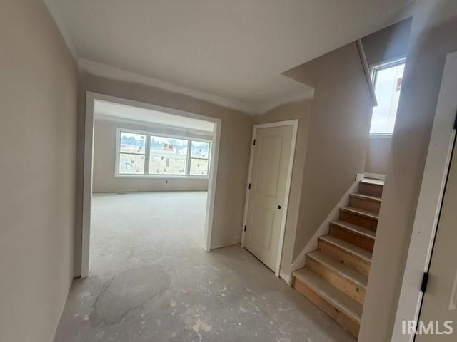 10720 Wild Iris Cove, Fort Wayne, IN 46818