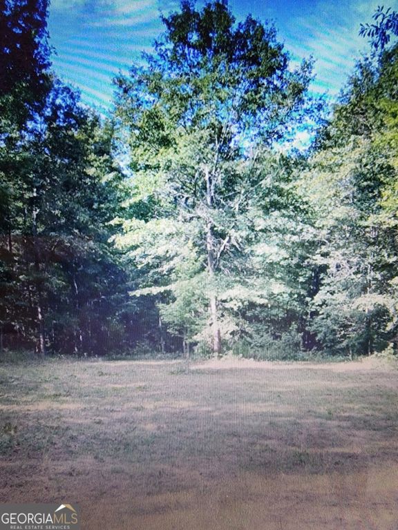 234 Arrowhead Lane, Danielsville, GA 30633
