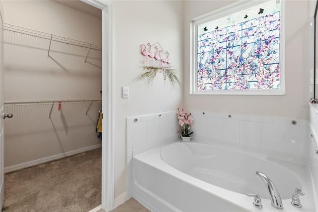 2916 HOODED CRANE COVE, St Cloud, FL 34773