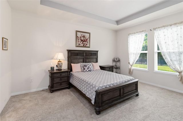 2916 HOODED CRANE COVE, St Cloud, FL 34773