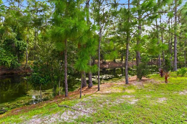 2916 HOODED CRANE COVE, St Cloud, FL 34773