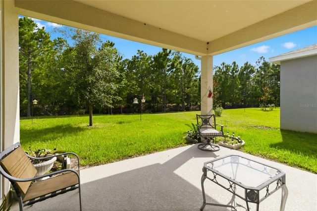 2916 HOODED CRANE COVE, St Cloud, FL 34773
