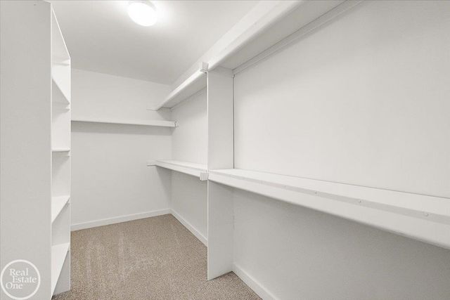 50529 Summit View Drive, Macomb Twp, MI 48044