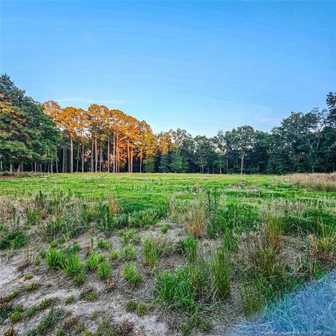 833 Brown Road, Lillington, NC 27546